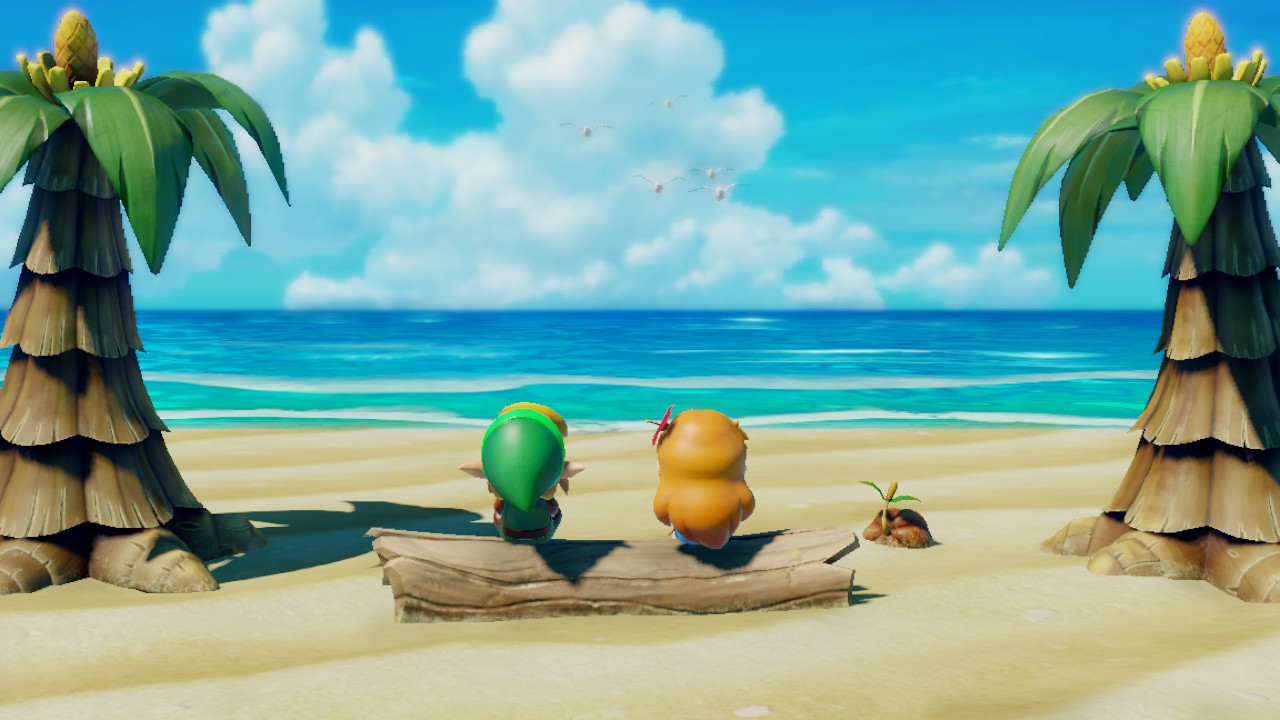 The Legend of Zelda: Link's Awakening Switch kaksikko rannalla