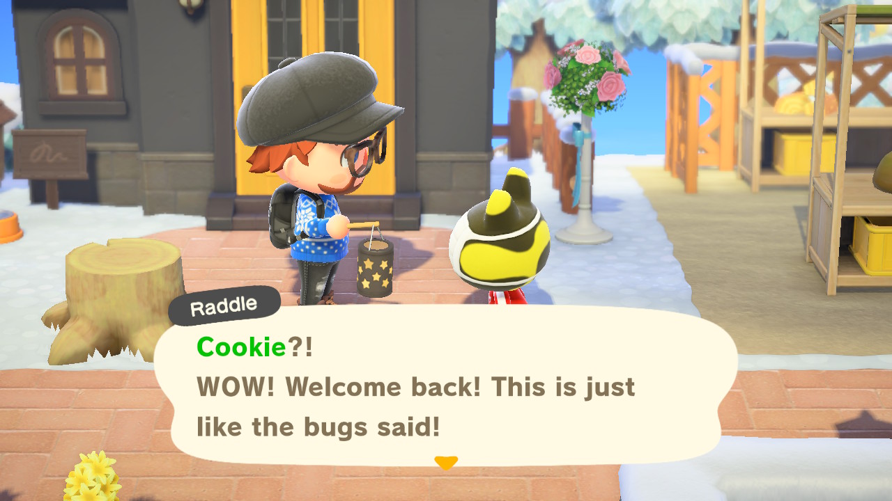 Animal Crossing: New Horizons Cookieta huudellaan