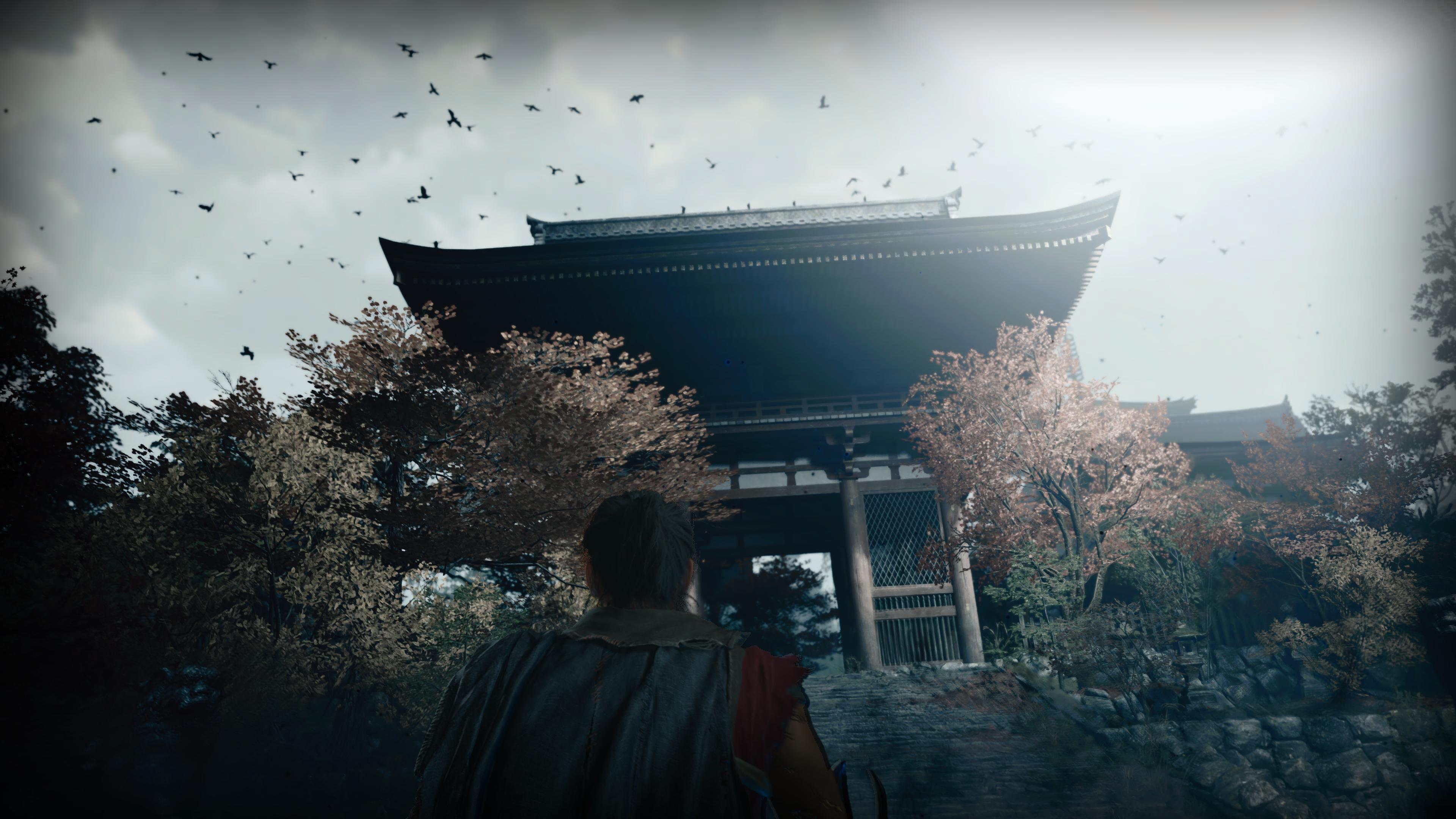 Onimusha: Way of the Sword: Musashin katse eteenpäin