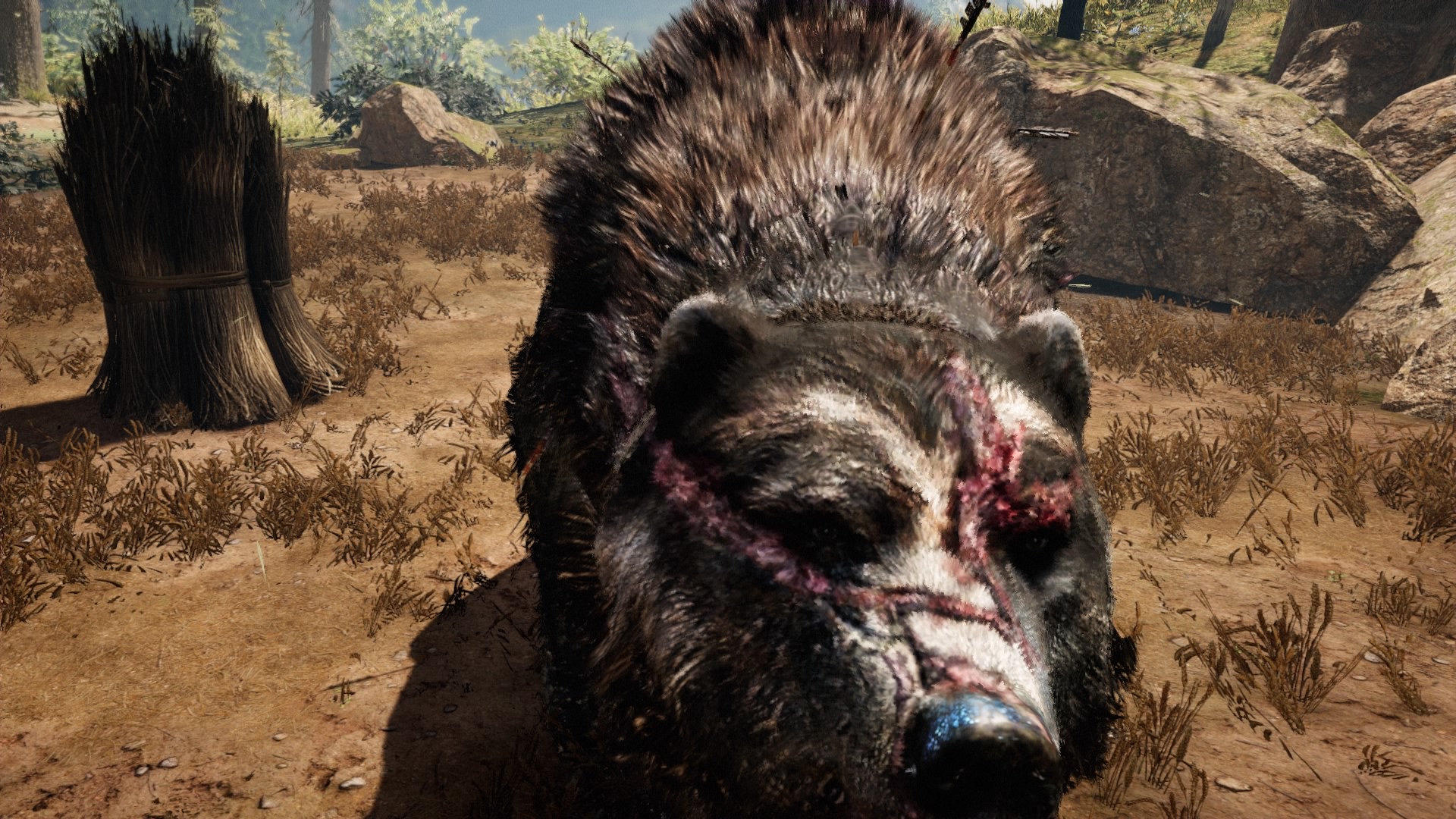 Far Cry Primal