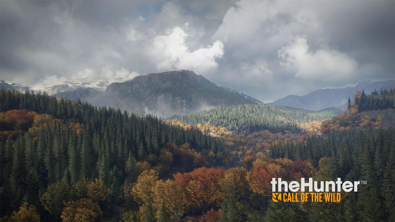 the Hunter: Call of the Wild: Kansi