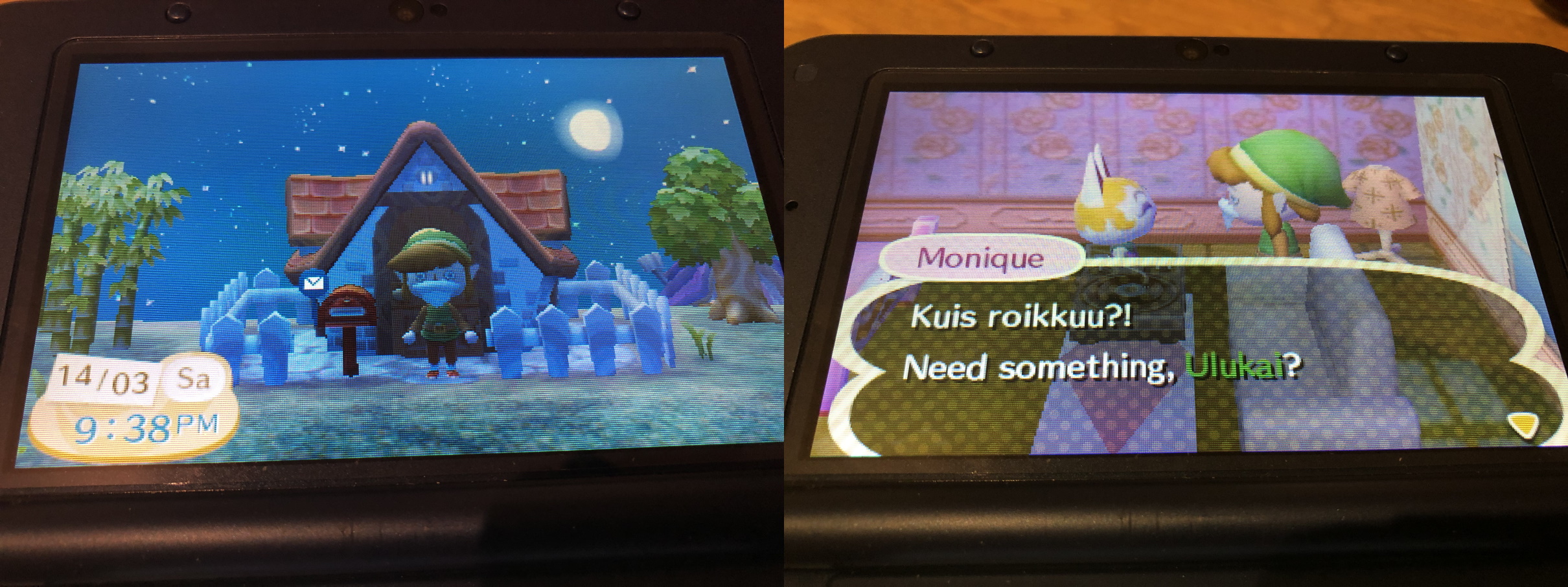 Paluu Animal Crossing -kylään 5.1