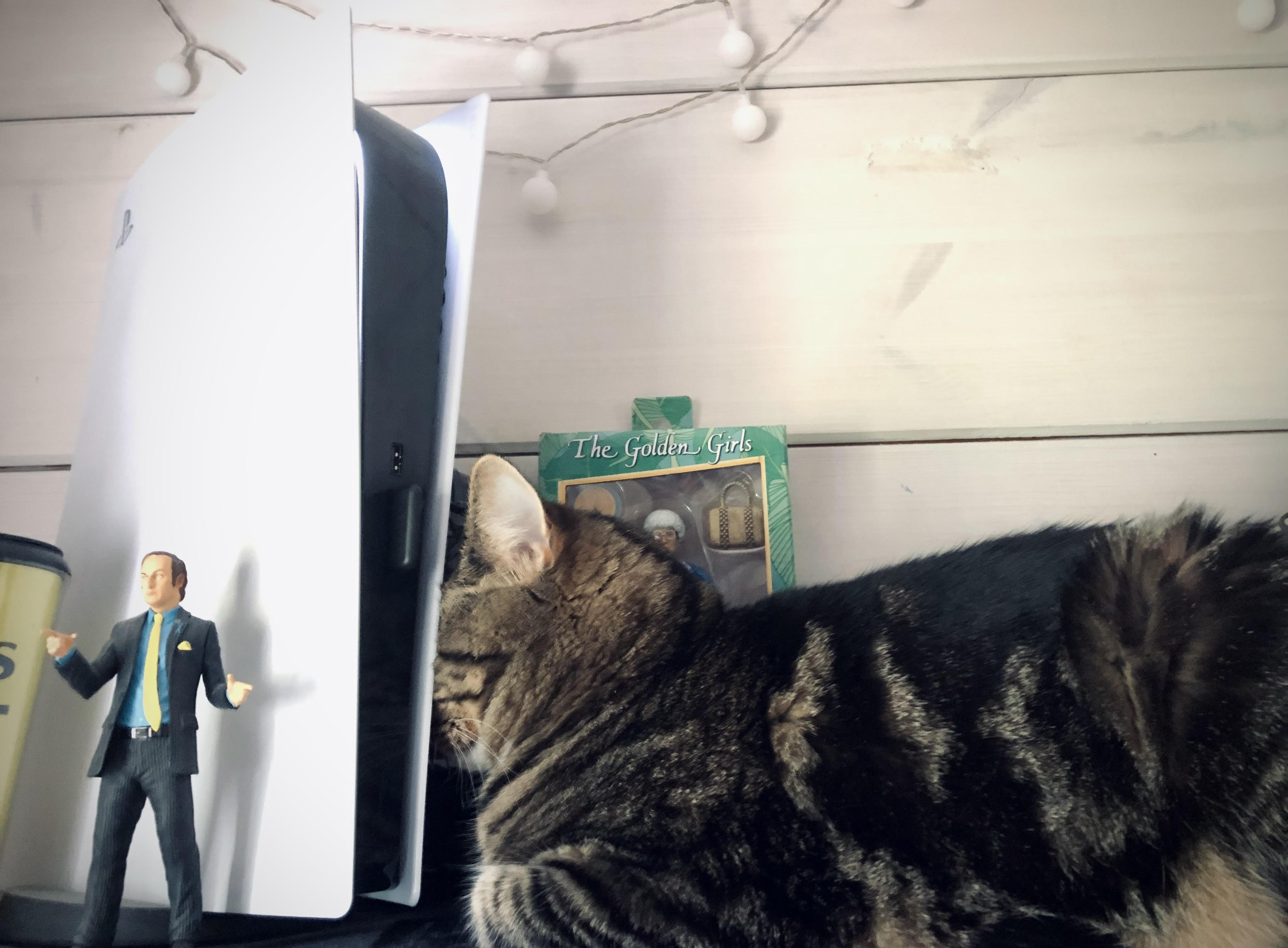 Tarjan kissa Mahti lepää pää PS5:n takana