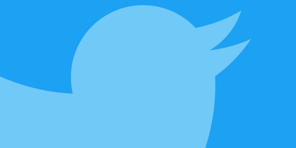 Twitter sininen kuva linnusta