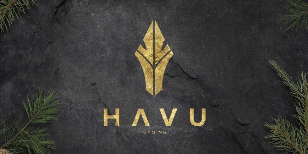 HAVU gaming