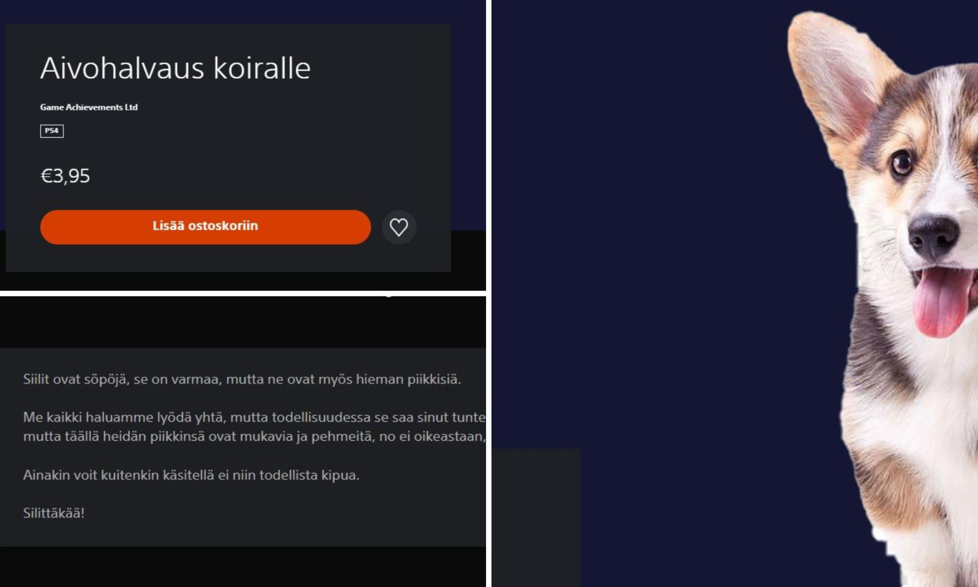 Aivohalvaus koiralle nostokuva