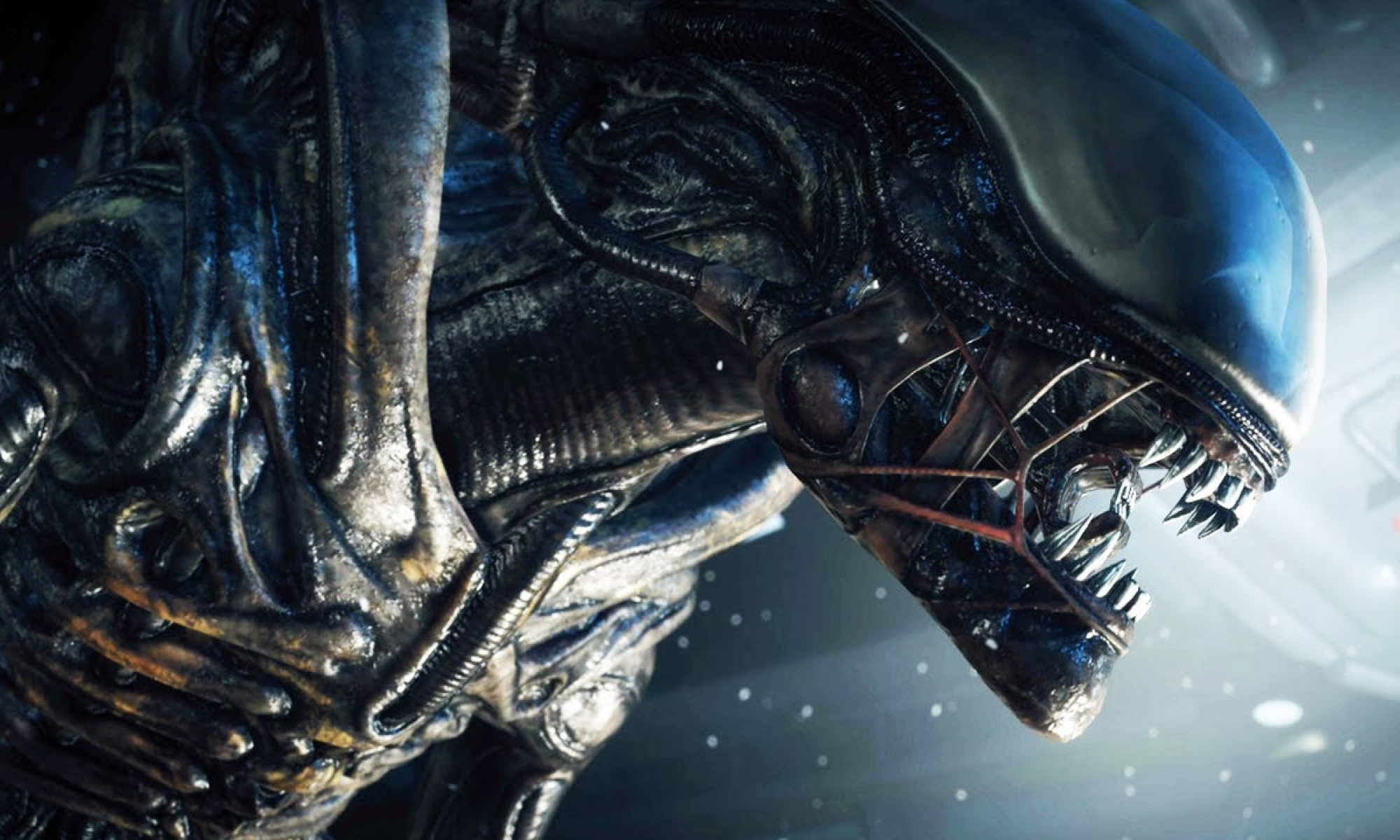 Alien