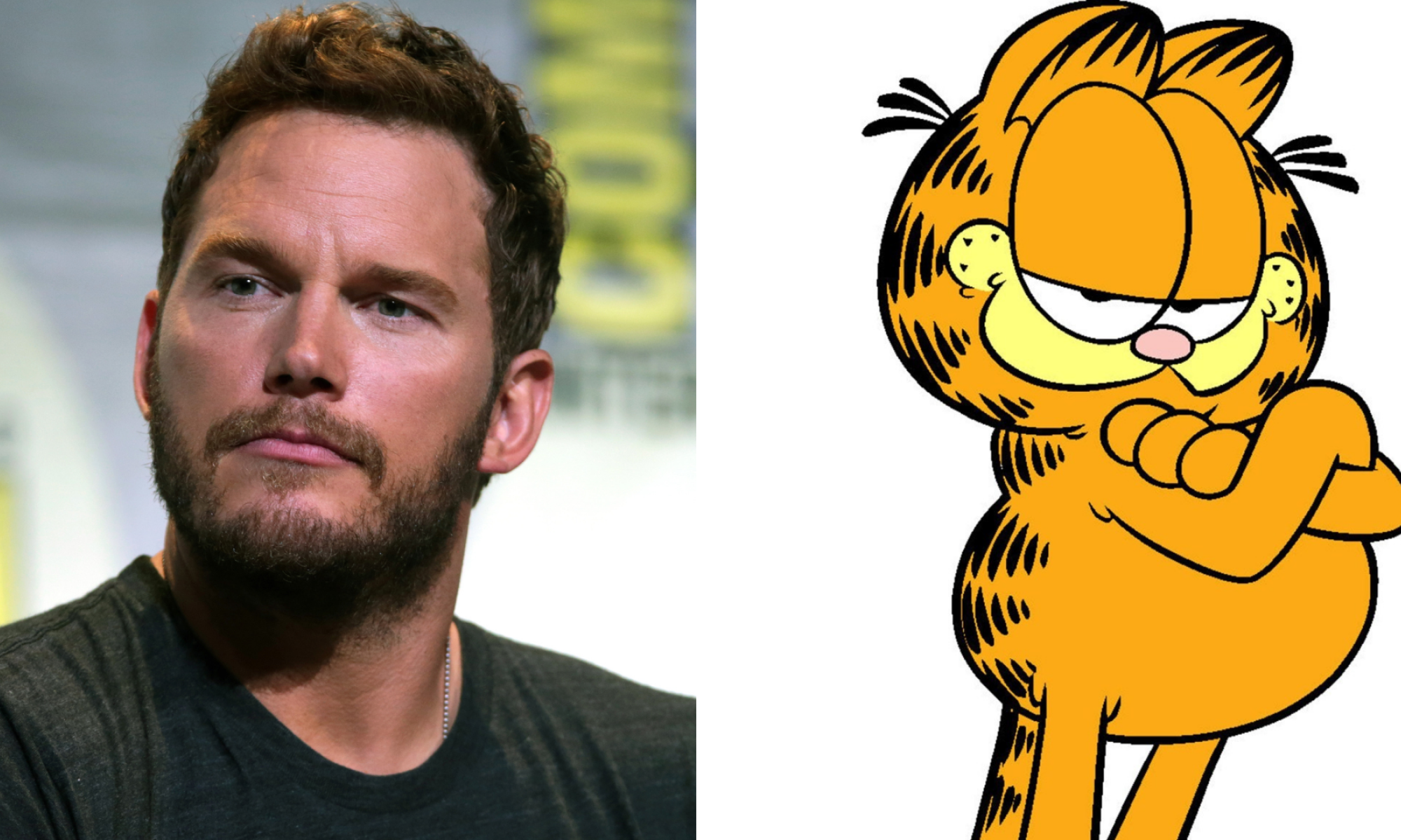 Chris Pratt Karvinen Garfield