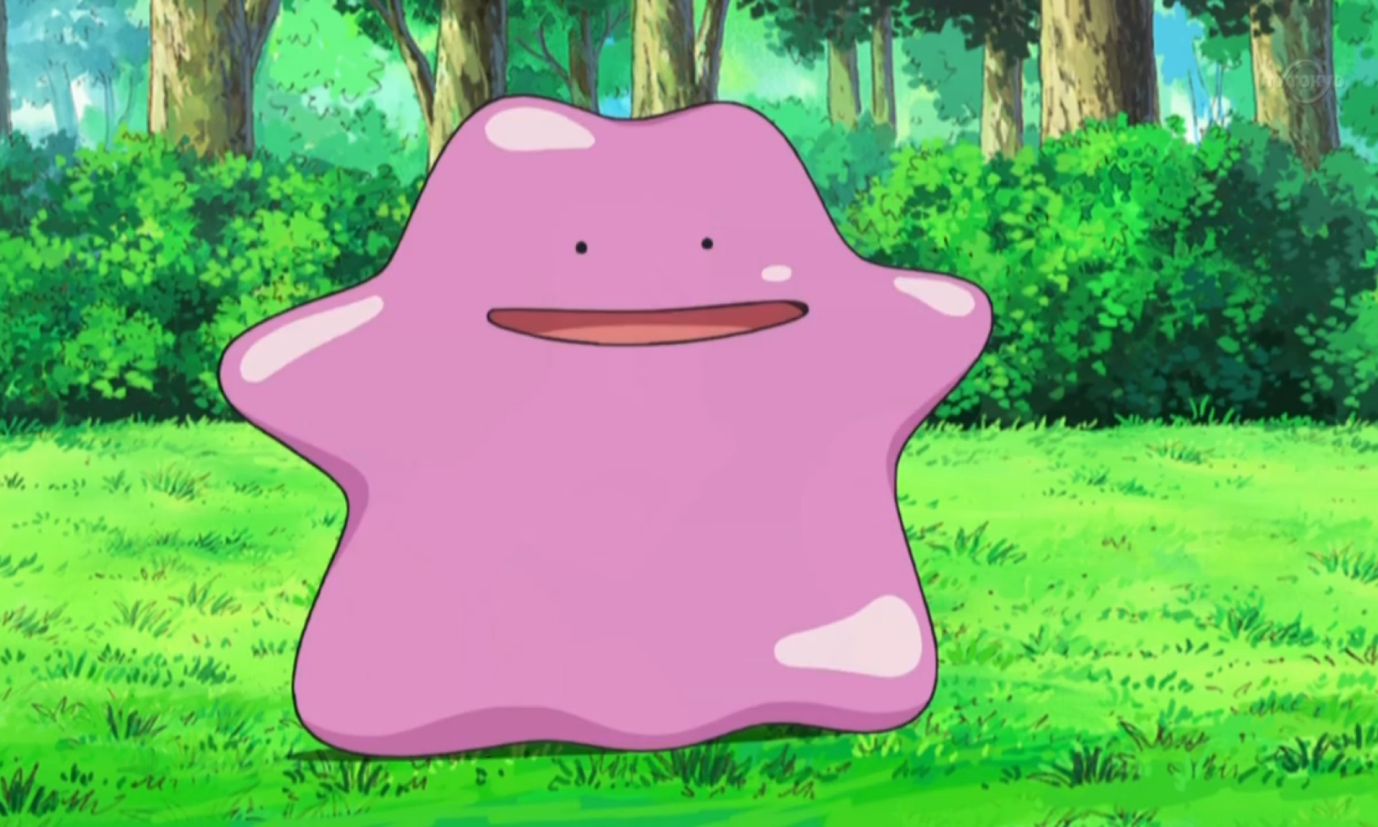 Pokémon Ditto