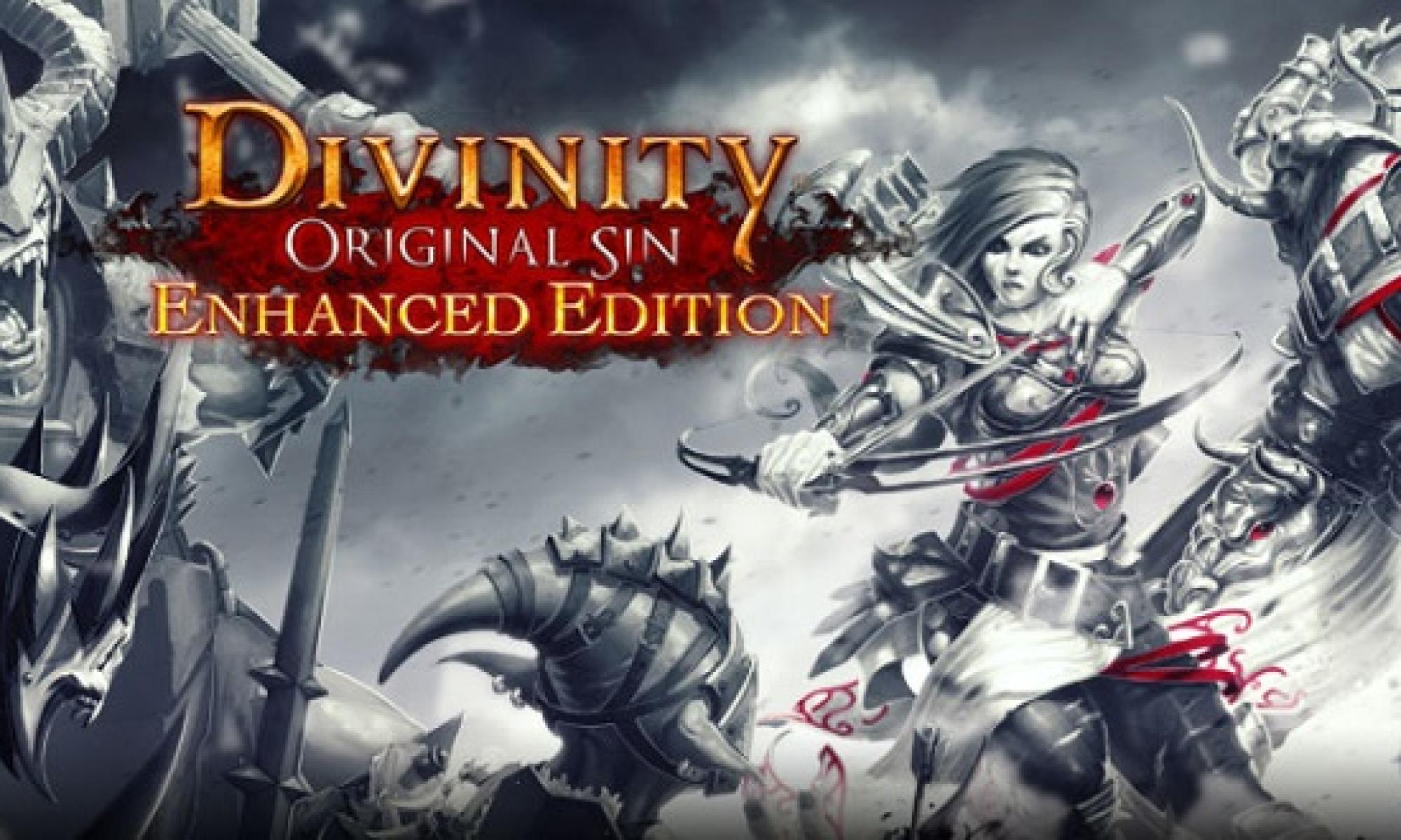 Divinity-Original-Sin1.jpg