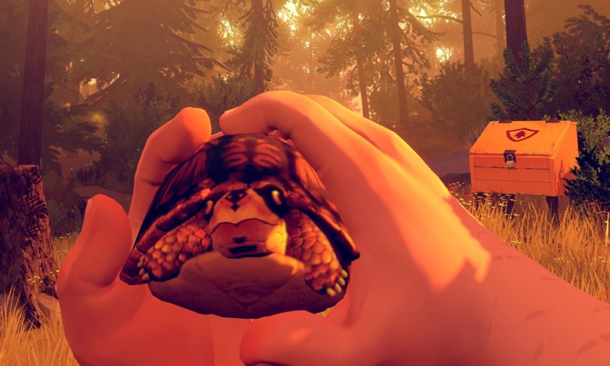 Firewatch2.jpg