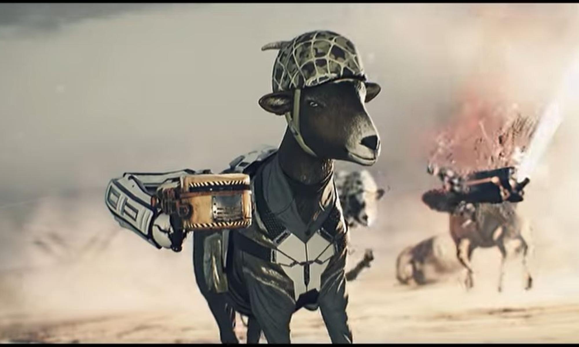 Goat of Duty b.JPG