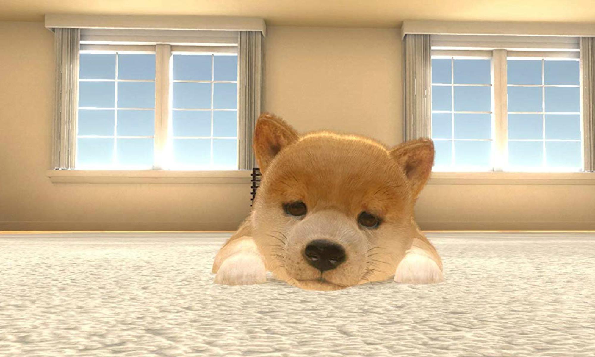 Little Friends Dogs and Cats.jpg
