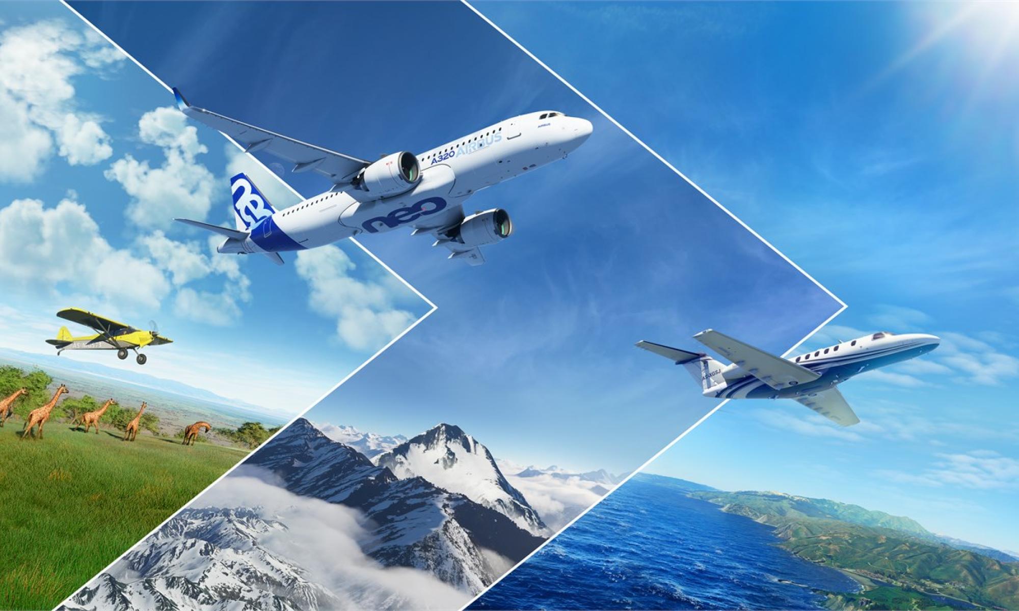 Microsoft Flight SImulator