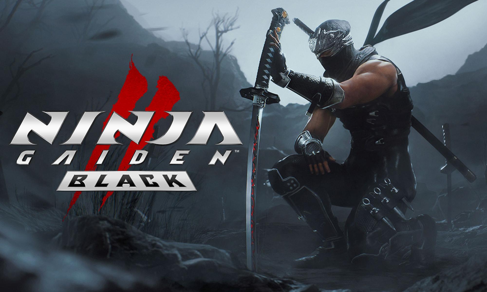 Ninja Gaiden 2 Black cover.jpg