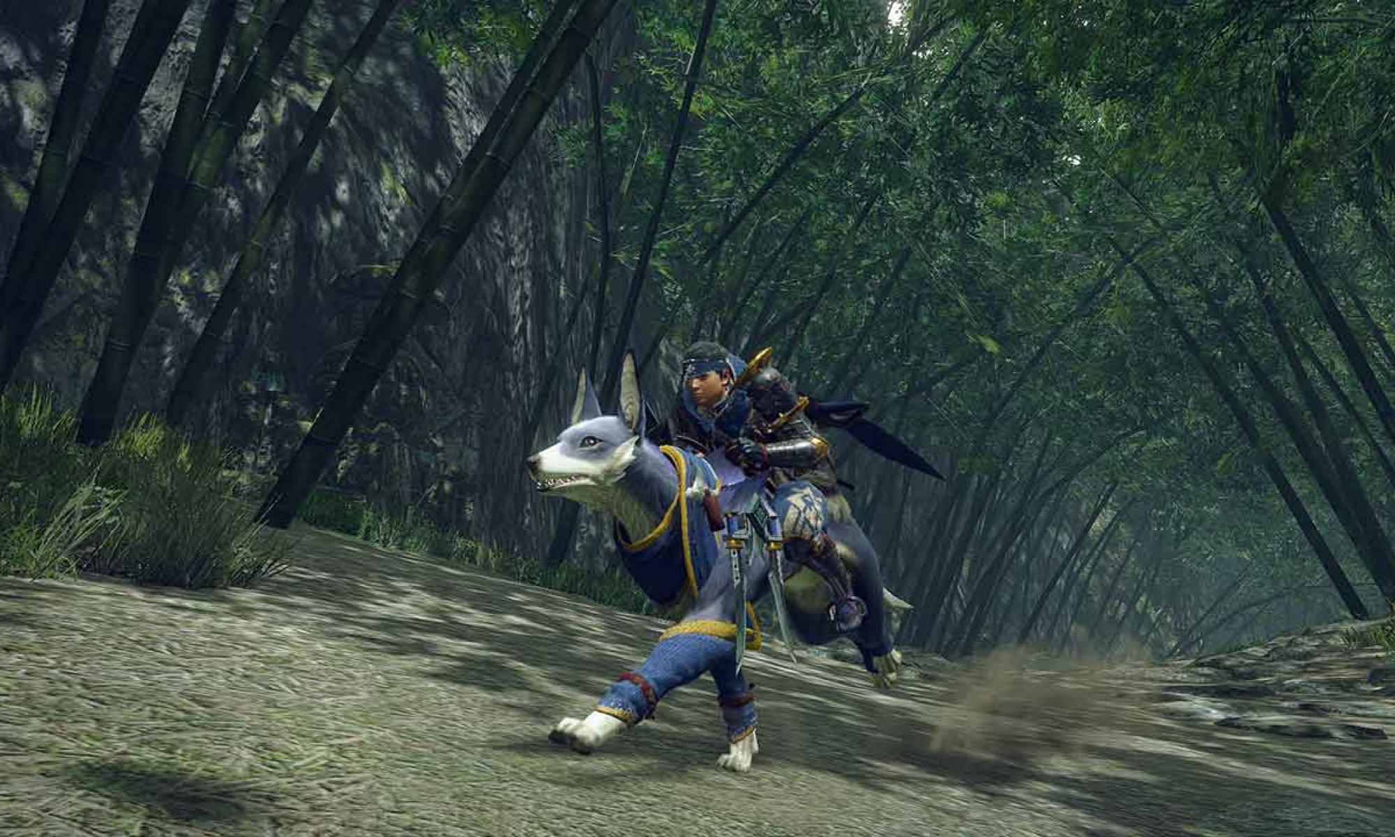 Switch_MonsterHunterRise_06.jpg