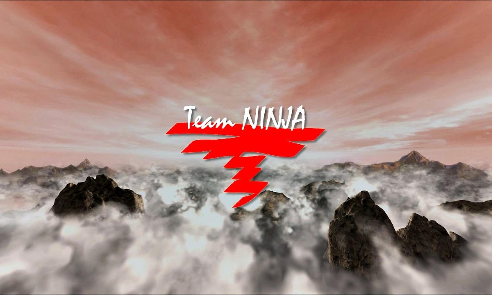 Team Ninja logo