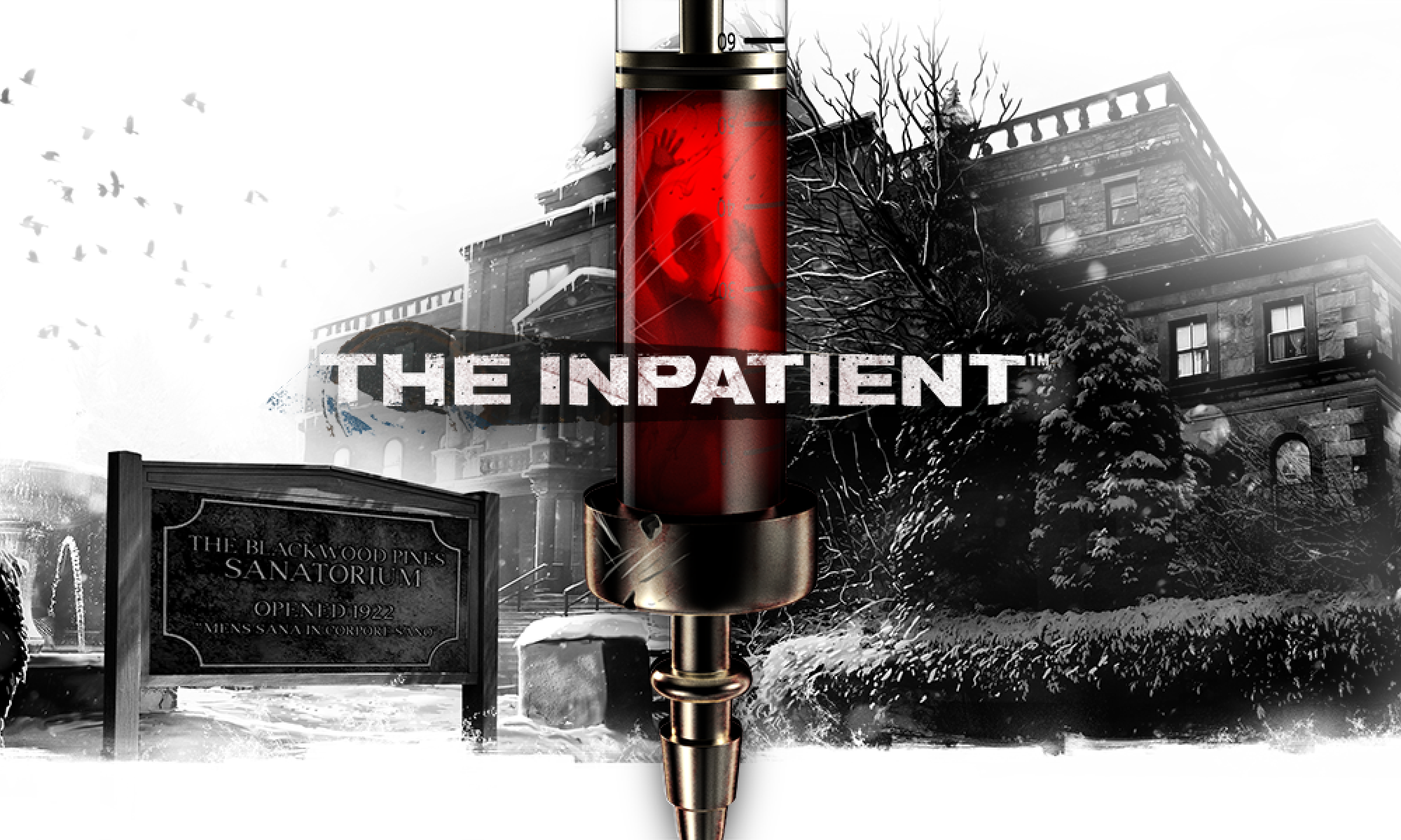 The Inpatient