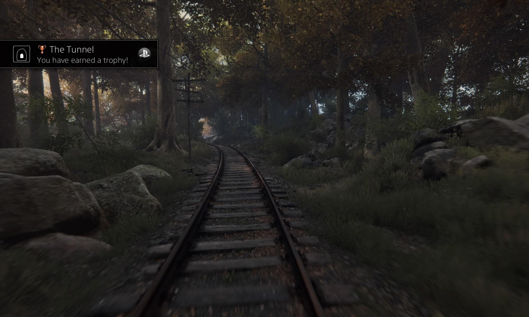 Alun hylätty rautatie (The Vanishing of Ethan Carter)