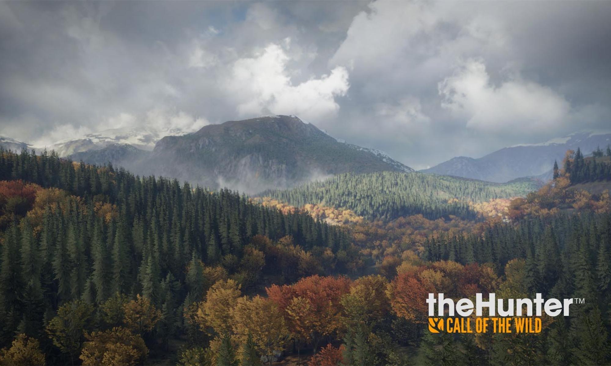 the Hunter: Call of the Wild: Kansi