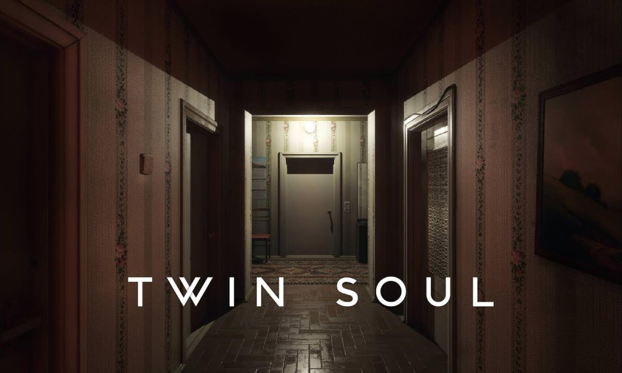 Twin Soul logo