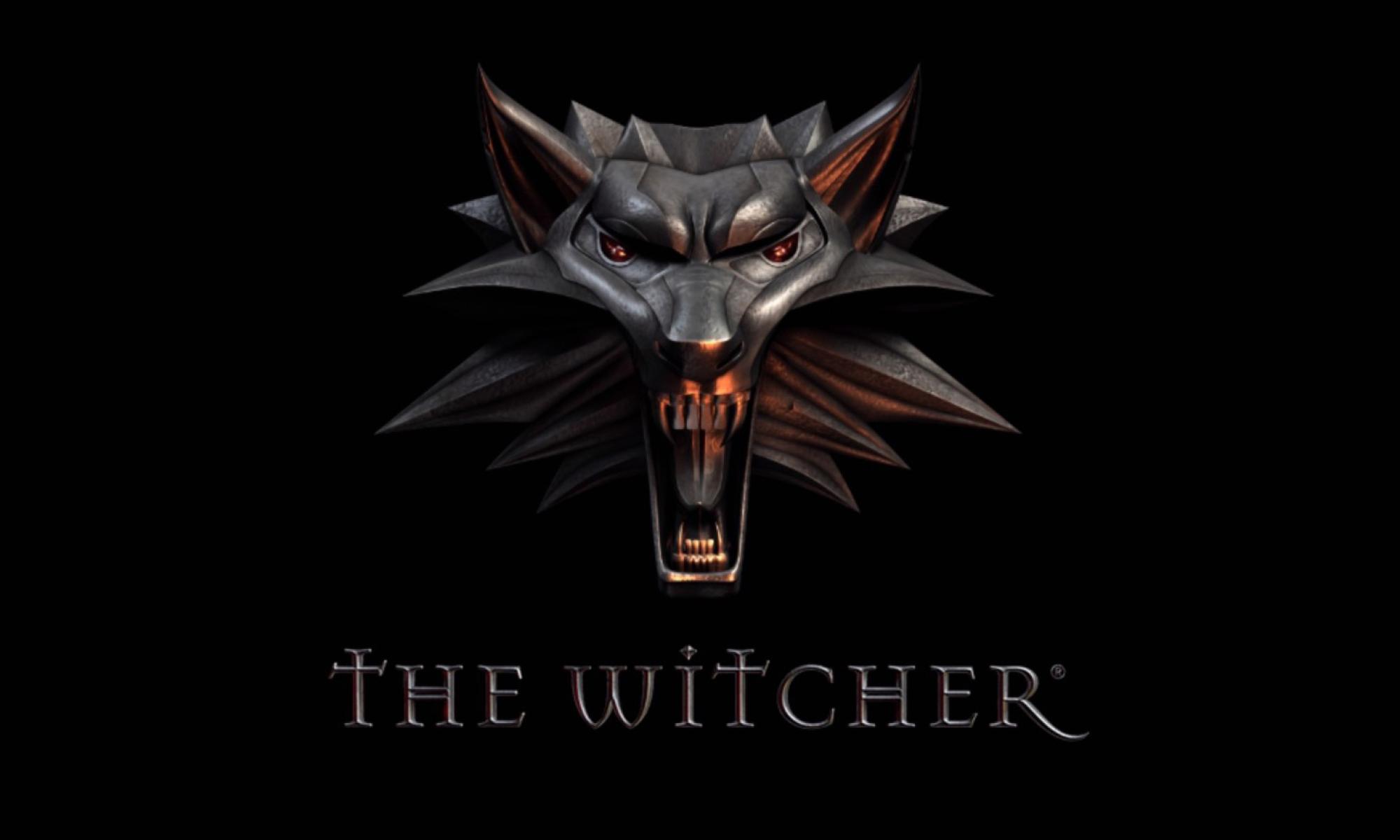 the witcher