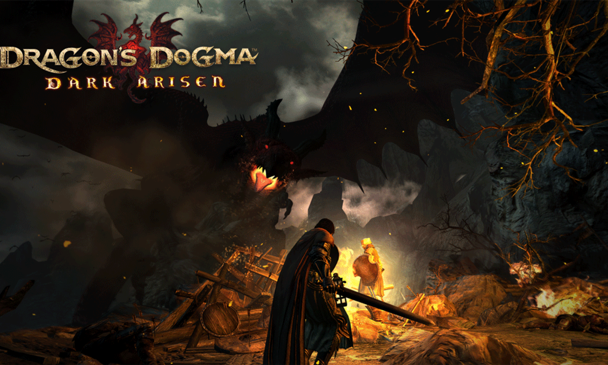 dragonsdogma.png