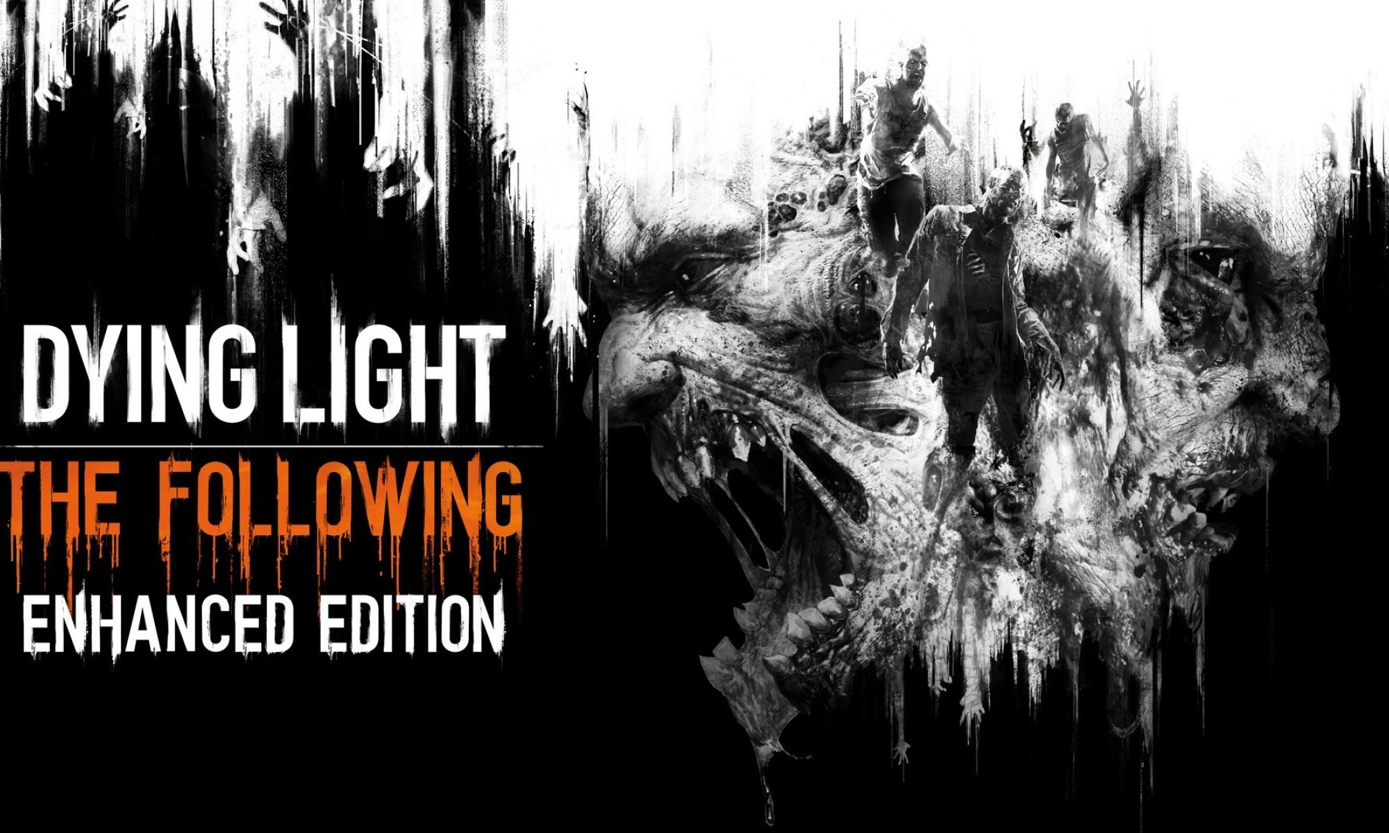 Dying Light: The Following - Enhanced Edition.jpg