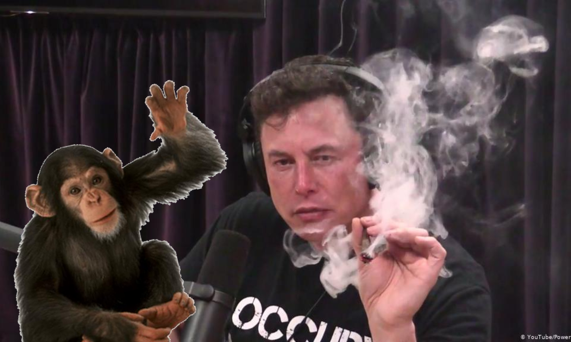 elon musk.png