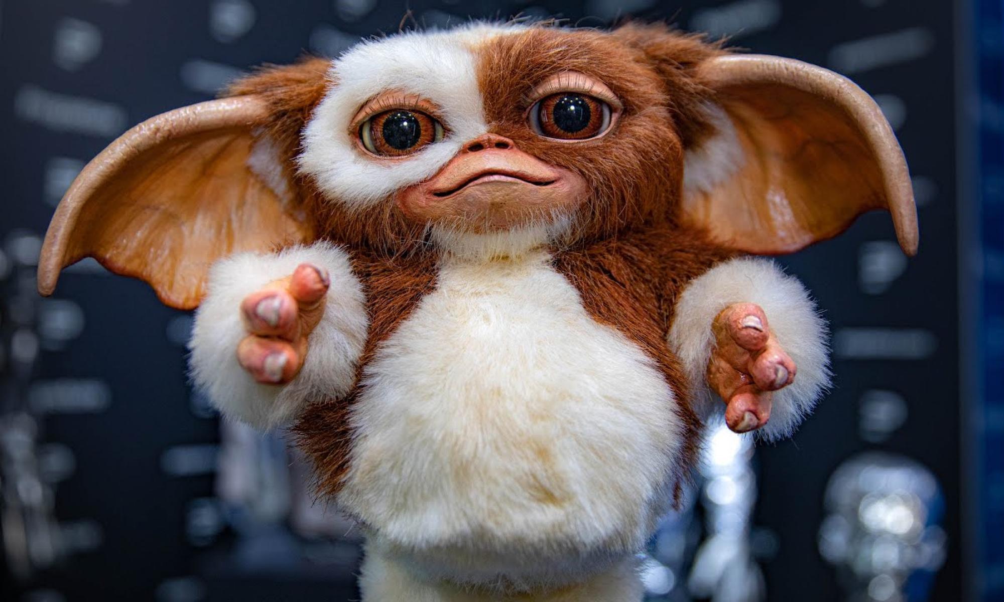 gizmo gremlins.jpg