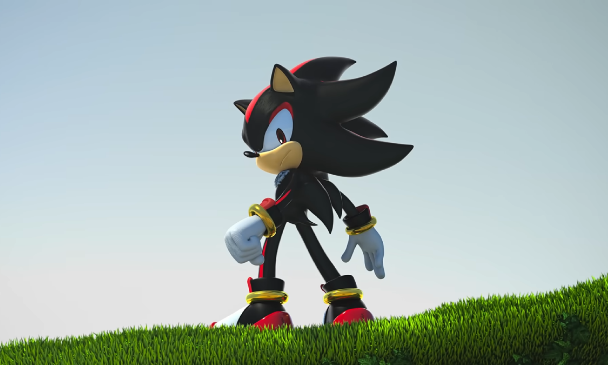 Shadow