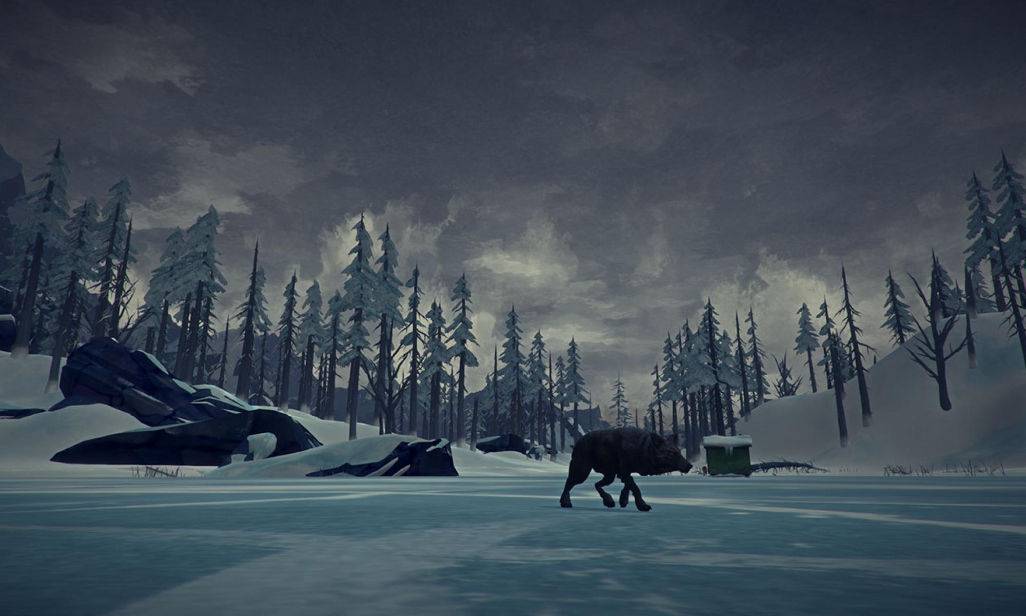 The Long Dark