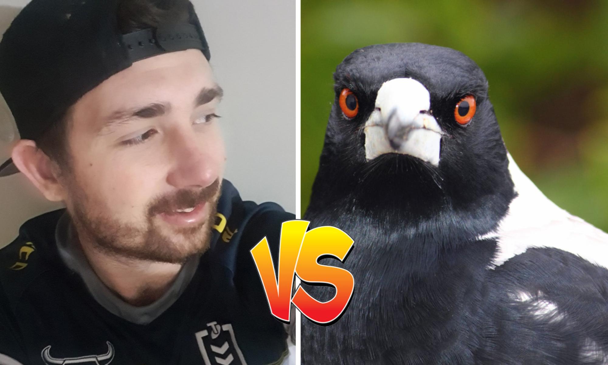 Lynchy ja harakka