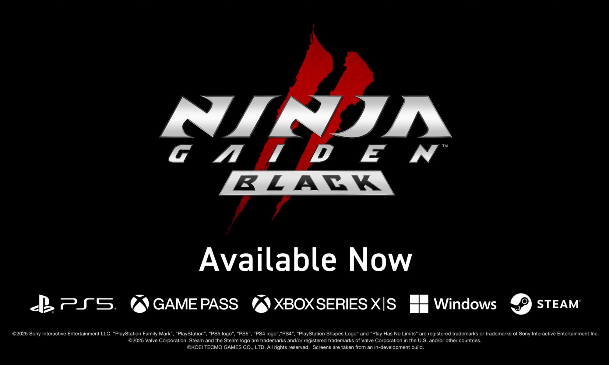 ninja gaiden nosto.jpeg