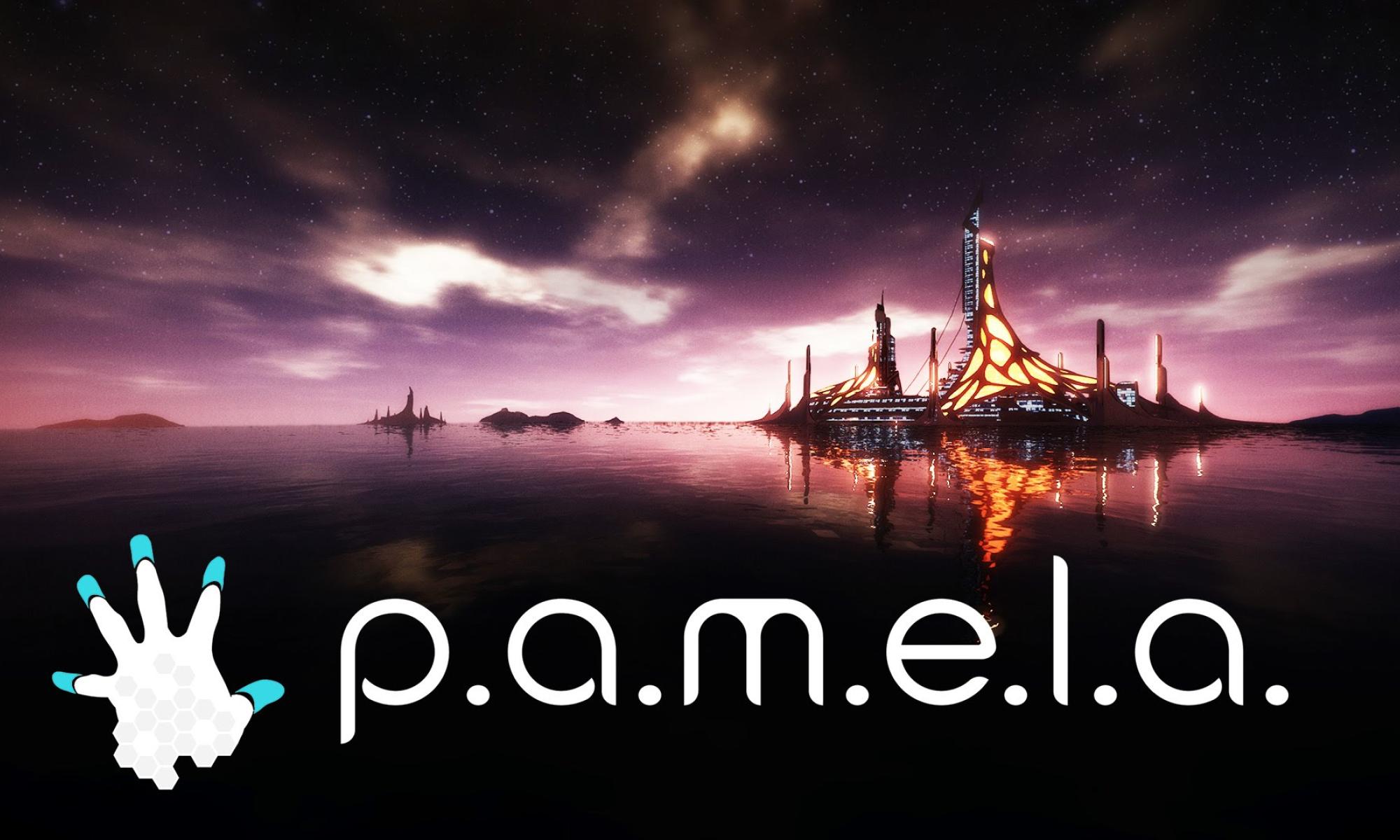 P.A.M.E.L.A.: Kansi