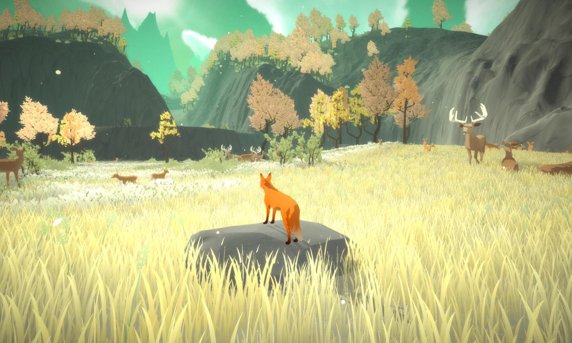 the first tree.jpg