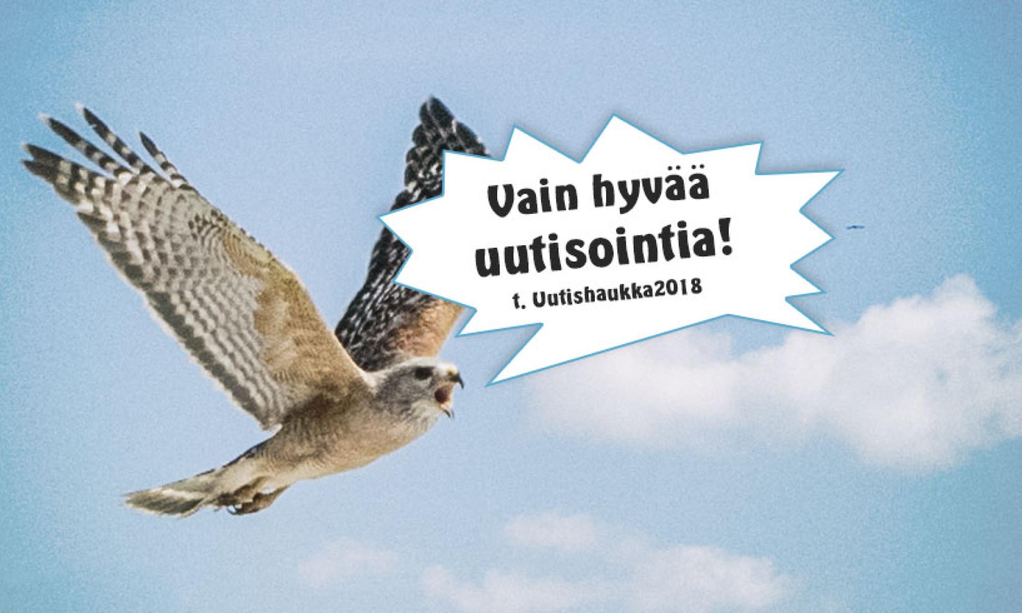 uutishaukka2018.jpg