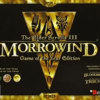 Morrowindgoty.jpg