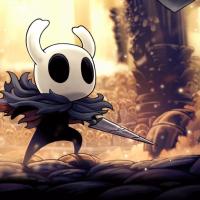 Hollow Knight.JPG