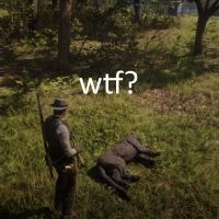 LegendaryPantherWTF Red Dead Redemption 2