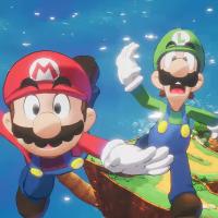 Mario & Luigi Brothership lentää.jpg