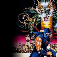 Ninja-Gaiden-II-The-Dark-Sword-of-Chaos-Details-LaunchBox-.jpg