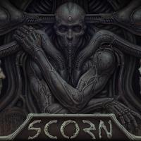 Scorn