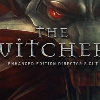 The Witcher