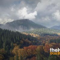 the Hunter: Call of the Wild: Kansi