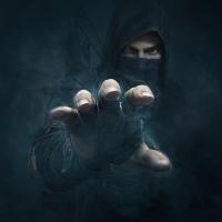 Thief kansi taide hiippailu
