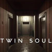 Twin Soul logo