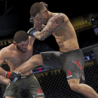 UFC 4