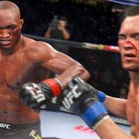 UFC 4