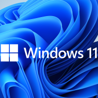 Windows 11 logo